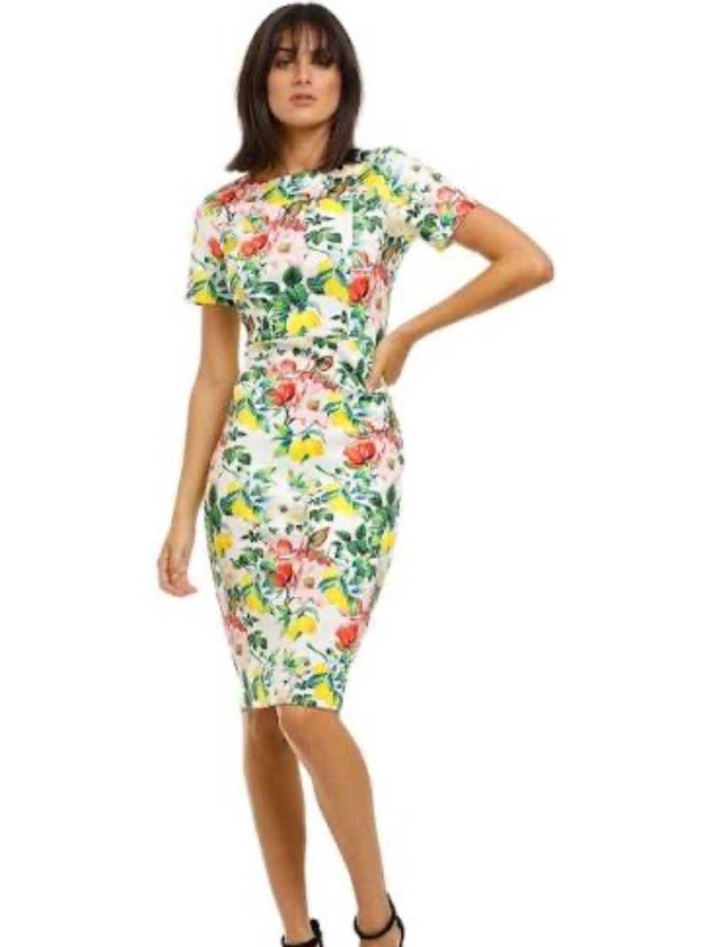 Alexia Admor XS Lemon Floral Print Scuba Sheath Dress